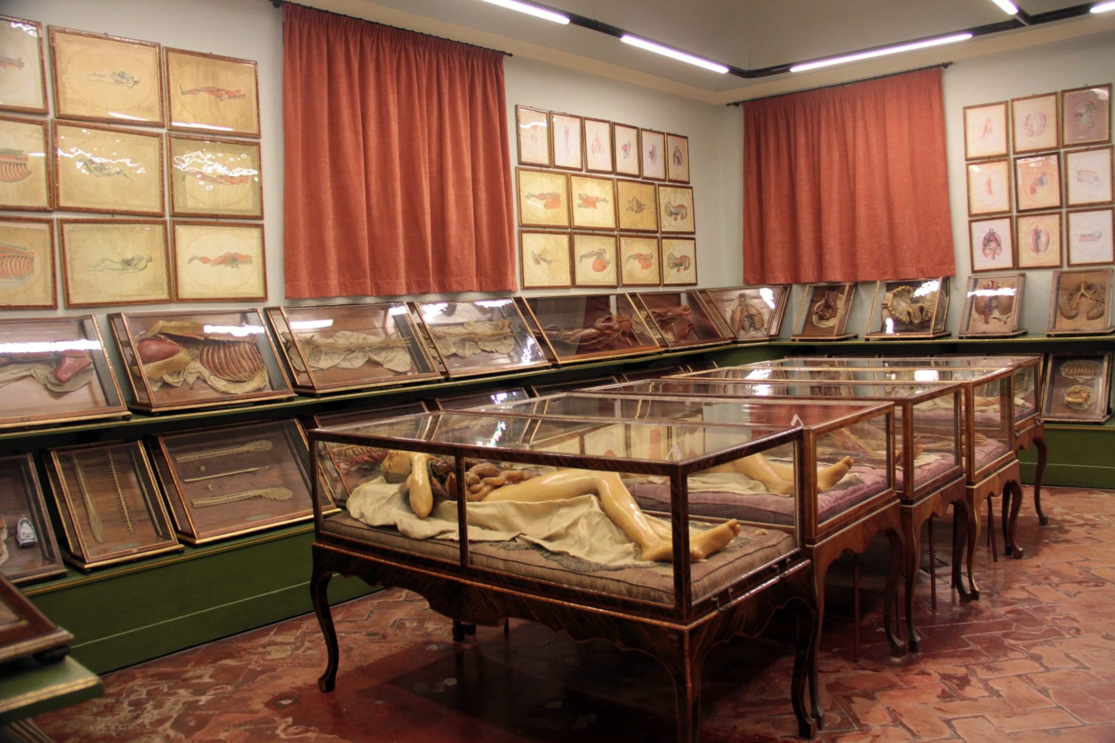 La Specola, The Natural History Museum of the University of Florence  (4).JPG